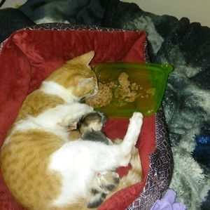 Meet your Posher, Sebastian